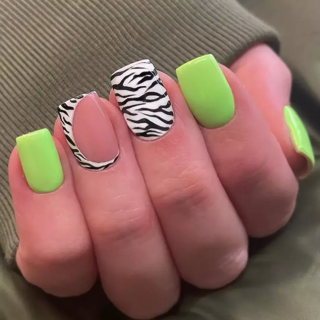Lime Green Zebra